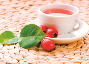 Как нужно правильно заваривать шиповник, чтобы максимально сохранить витамины? Напиток из шиповника