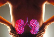 Причины образования песка в почках и лечение в домашних условиях Песок в почках