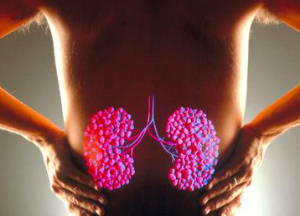 Причины образования песка в почках и лечение в домашних условиях Песок в почках