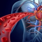 Как можно разжижать кровь народными средствами? Народные метода разжижения крови в организме