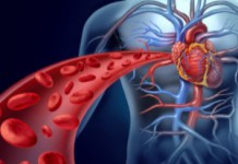 Как можно разжижать кровь народными средствами? Народные метода разжижения крови в организме