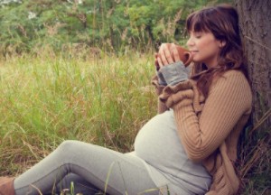 Разрешено ли употребление отвара шиповника при беременности? Можно ли пить шиповник во время беременности?