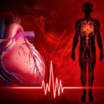 Тахикардия: симптомы и лечение сердца в домашних условиях Что такое тахикардия?