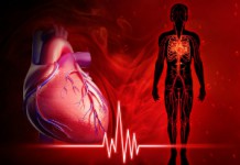 Тахикардия: симптомы и лечение сердца в домашних условиях Что такое тахикардия?