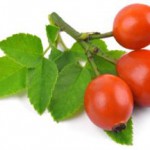 Чем полезен сироп из плодов шиповника детям и взрослым сироп шиповника детям отзывы