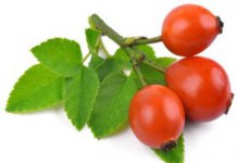 Чем полезен сироп из плодов шиповника детям и взрослым сироп шиповника детям отзывы