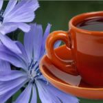 Польза и вред цикория растворимого для беременных и похудения польза и вред цикория растворимого