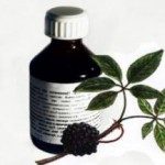 Инструкция по применению настойки элеутерококка в домашних условиях настойка элеутерококка инструкция по применению