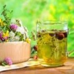 Какие успокоительные травы для нервной системы взрослого можно пить успокоительные травы для нервной системы взрослого