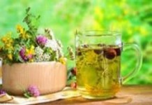 Какие успокоительные травы для нервной системы взрослого можно пить успокоительные травы для нервной системы взрослого