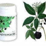 Свойства настойки корня элеутерококка: применение для потенции, польза для женщин настойка элеутерококка польза и вред