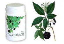 Свойства настойки корня элеутерококка: применение для потенции, польза для женщин настойка элеутерококка польза и вред