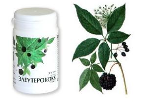 Свойства настойки корня элеутерококка: применение для потенции, польза для женщин настойка элеутерококка польза и вред