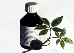 Инструкция по применению настойки элеутерококка в домашних условиях настойка элеутерококка инструкция по применению