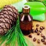 Целебные, полезные и лечебные свойства масла кедрового ореха с живицей кедровое масло лечебные свойства и противопоказания