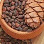 Несколько интересных рецептов настойки на кедровых орешках на спирту