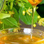 Чем полезен белый липовый мед: лечебные свойства и противопоказания липовый мед фото