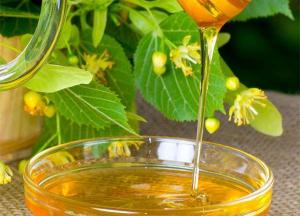 Чем полезен белый липовый мед: лечебные свойства и противопоказания липовый мед фото