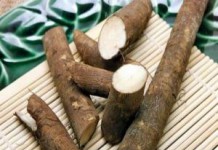 Чем полезен и что лечит корень лопуха у человека корень лопуха что лечит