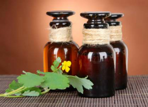 Рецепт настойки чистотела на водке и способы применения при различных заболеваниях Лечебные свойства настойки чистотела