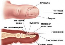 Чем лучше или как быстро и эффективно вылечить грибок ногтей ног: йодом или солью как вылечить грибок ногтей на ногах отзывы