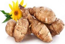 Сок и порошок из топинамбура: польза и вред при сахарном диабете польза и вред фото