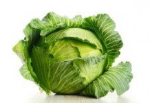 Белокочанная капуста: польза для здоровья и похудения Белокочанная капуста