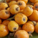 Мушмула: полезные свойства и противопоказания экзотического фрукта Мушмула