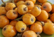 Мушмула: полезные свойства и противопоказания экзотического фрукта Мушмула