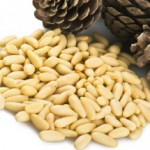 Полезные свойства и противопоказания кедровых орехов, лечебные рецепты Кедровые орехи