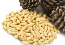 Полезные свойства и противопоказания кедровых орехов, лечебные рецепты Кедровые орехи
