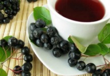 Рябина черноплодная: полезные свойства и противопоказания, рецепт вина и настойки Польза и вред черноплодной рябины