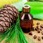 Кедровое масло: полезные свойства и противопоказания, применение в косметологии и народной медицине Кедровое масло