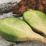 Зеленая редька: полезные свойства и возможные противопоказания Зеленая редька