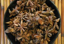 Растение бадьян: полезные свойства и противопоказания Бадьян