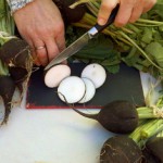 Полезные свойства черной редьки и противопоказания к употреблению Черная редька