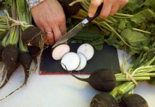 Полезные свойства черной редьки и противопоказания к употреблению Черная редька