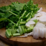 Японская редька дайкон: полезные свойства и противопоказания Редька дайкон