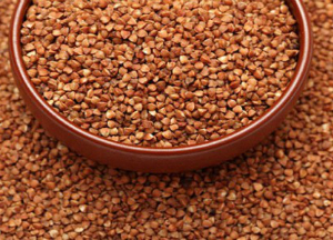 Каковы польза и вред гречки для здоровья? Гречка