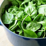 Руккола: полезные свойства и противопоказания к употреблению Что такое руккола?