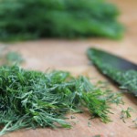 Польза и вред Укропа для здоровья Укроп
