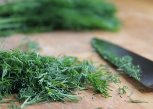 Польза и вред Укропа для здоровья Укроп