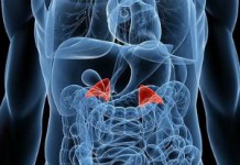 Лечение больных надпочечников народными средствами Заболевания надпочечников