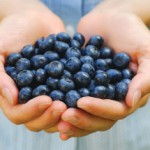 Полезные свойства и противопоказания ягод и листьев черники Черника