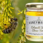 Как отличить от подделки и купить настоящий донниковый мед: фото и лечебные свойства донниковый мед фото