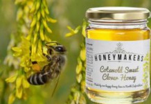 Как отличить от подделки и купить настоящий донниковый мед: фото и лечебные свойства донниковый мед фото