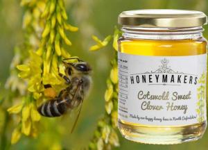 Как отличить от подделки и купить настоящий донниковый мед: фото и лечебные свойства донниковый мед фото