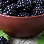 Ежевика: полезные свойства и противопоказания к употреблению Ежевика