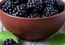 Ежевика: полезные свойства и противопоказания к употреблению Ежевика