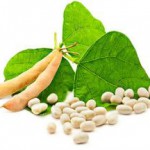 Чем полезна белая фасоль, сколько ее варить и как приготовить вкусно Фасоль белая польза и вред